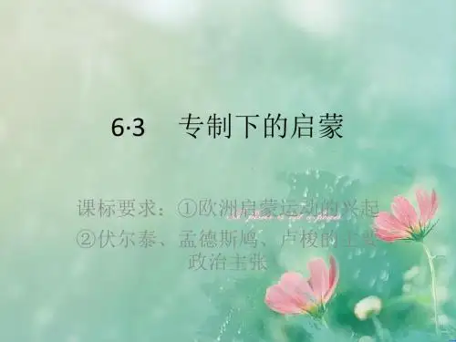 【优选整合】人民版高中历史必修3 专题6.3专制下的启蒙(课件1) (共23张PPT)