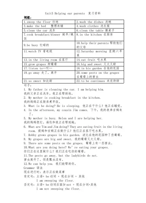 小学英语译林版五年级下册Unit5  复习资料
