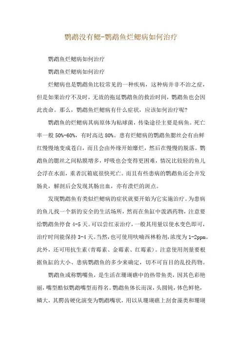 鹦鹉没有鳃-鹦鹉鱼烂鳃病如何治疗