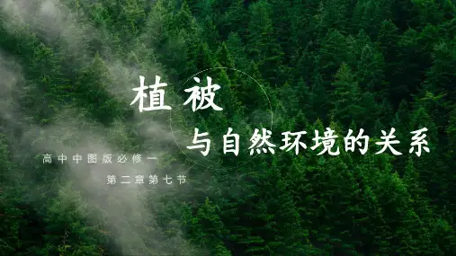 《植被与自然环境的关系》自然地理要素及现象PPT课件,共24页