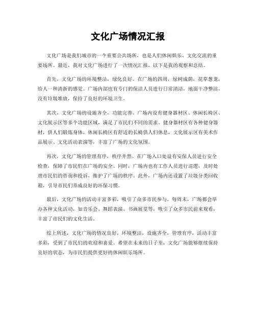 文化广场情况汇报