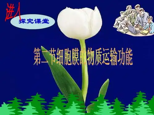 细胞膜的物质运输功能