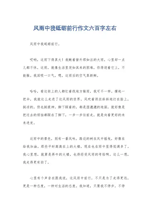 风雨中我砥砺前行作文六百字左右