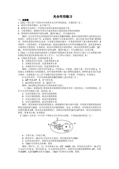 光合作用练习有答案