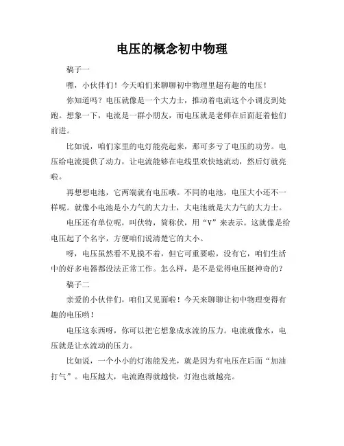 电压的概念初中物理