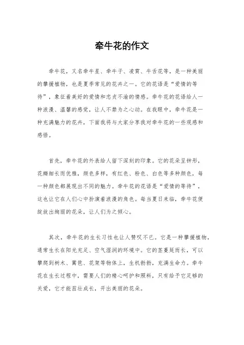 牵牛花的作文