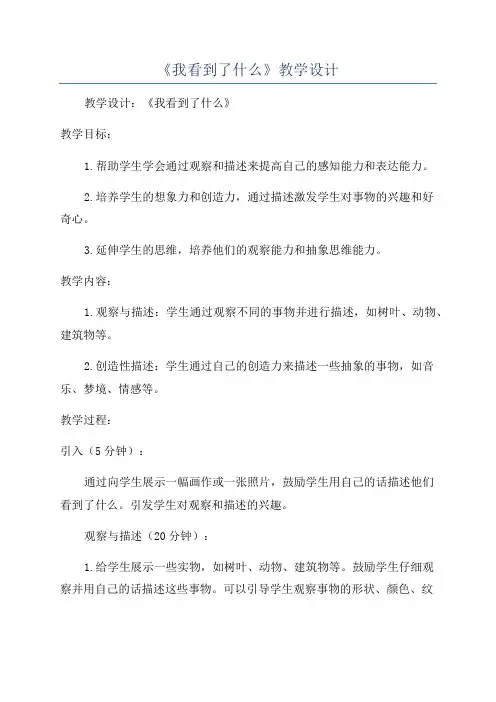 《我看到了什么》教学设计