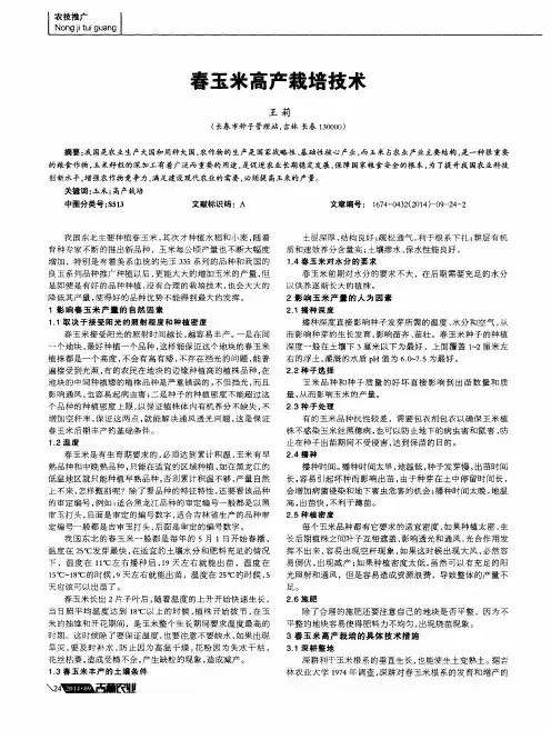 春玉米高产栽培技术