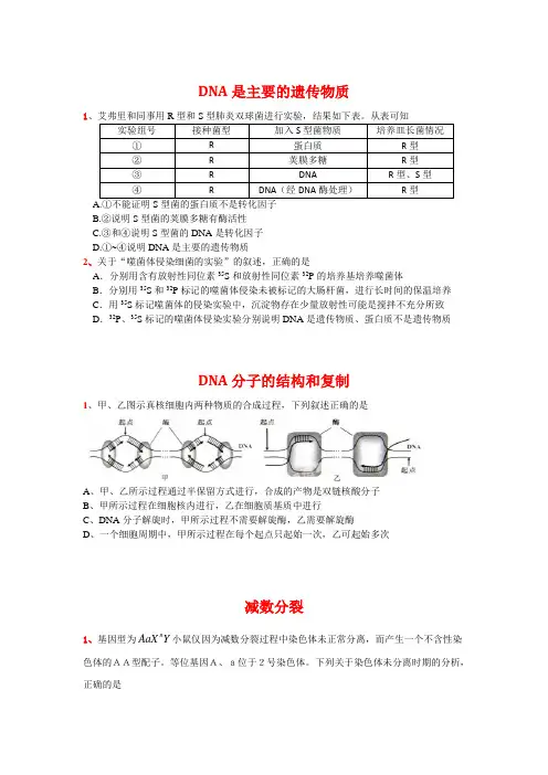 2011高考生物试题分类汇编必修二(学生版)