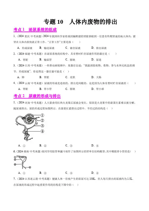 专题10  人体内废物的排出(原卷版+答案解析版)