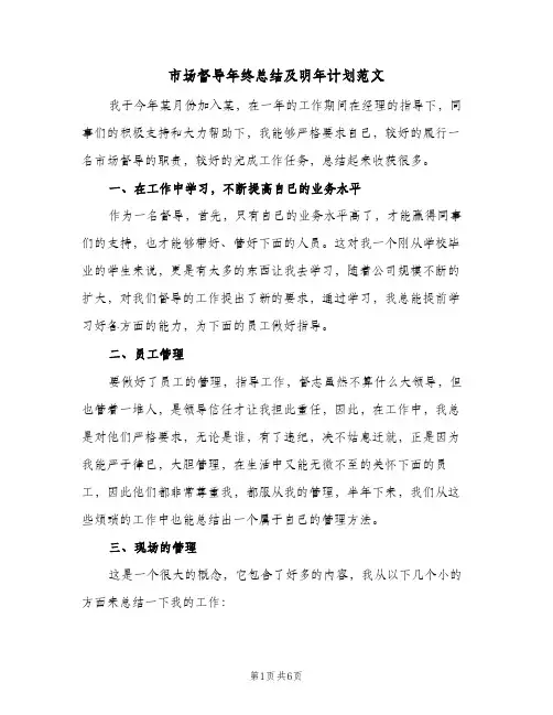 2024年市场督导年终总结及明年计划范文（三篇）