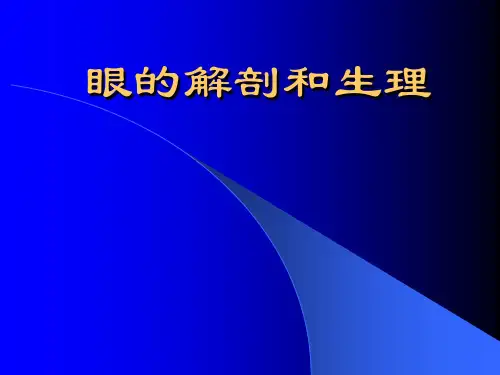 眼球的解剖和生理