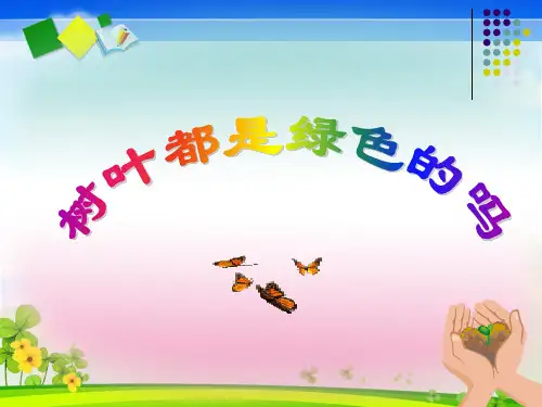 四年级上册语文课件-3.10《树叶都是绿色的吗》语文S版共43张PPT