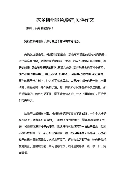 家乡梅州景色,物产,风俗作文