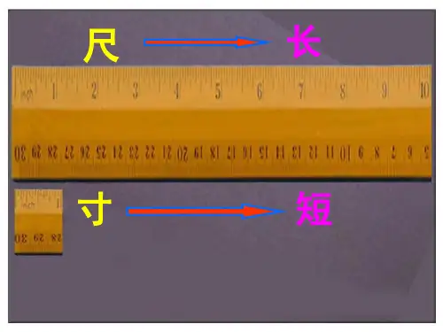 28尺有所短寸有所长》PPT课件