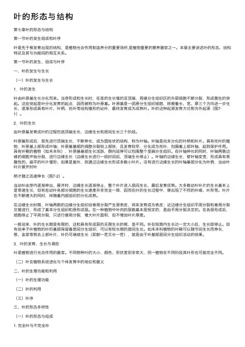 叶的形态与结构