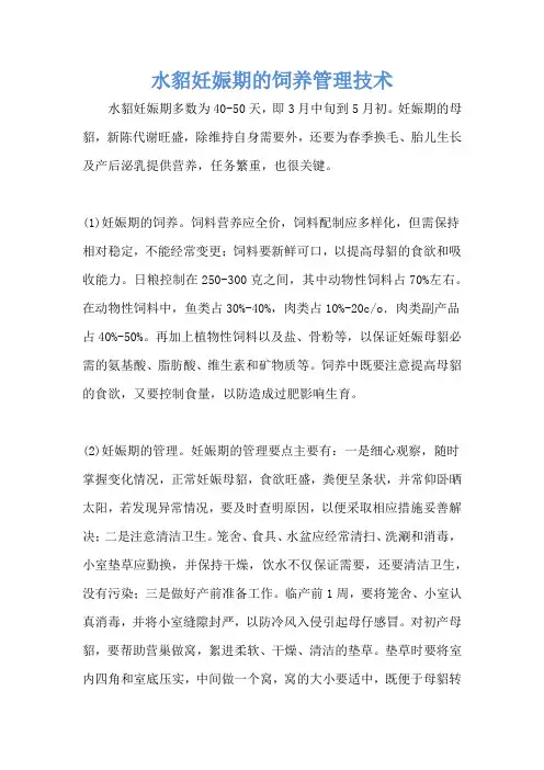 水貂妊娠期的饲养管理技术