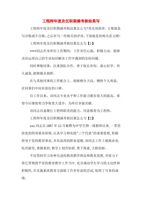 工程师年度及任职期满考核结果写
