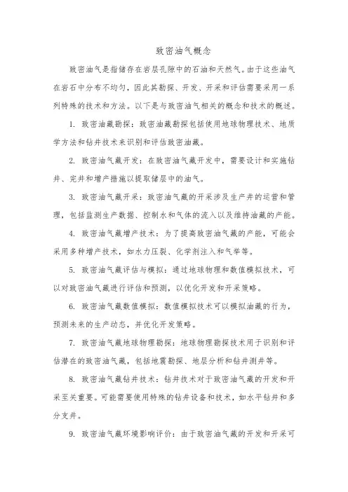 致密油气概念