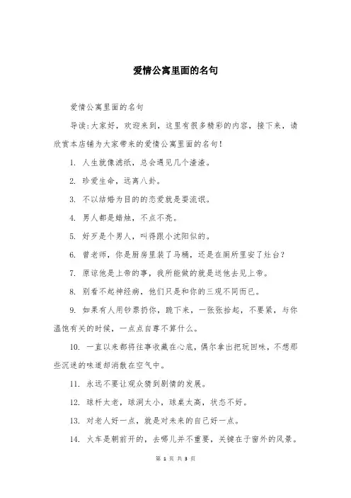 爱情公寓里面的名句