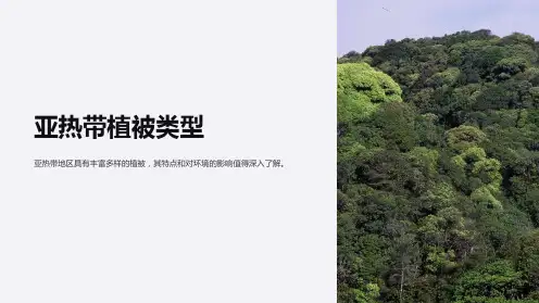 《亚热带植被类型》课件
