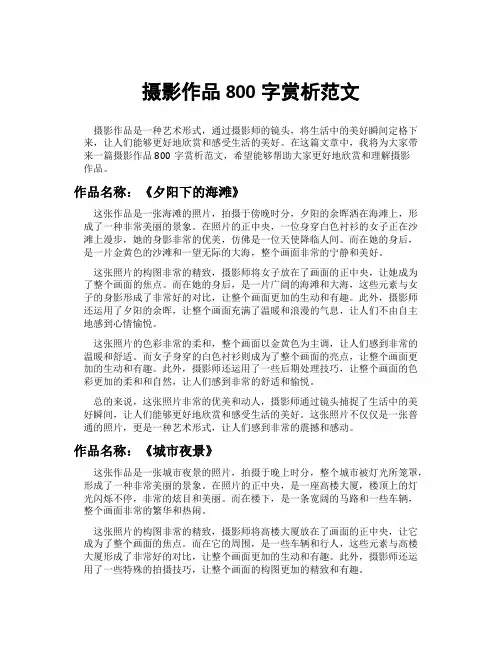 摄影作品800字赏析范文