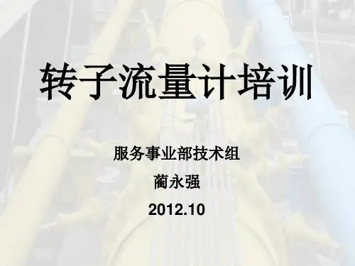 转子流量计培训