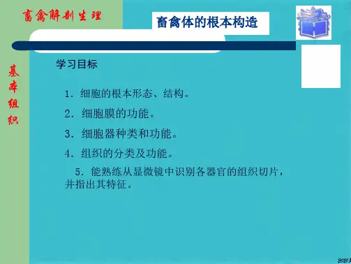 畜禽解剖生理第一章畜禽体的基本构造(共33张PPT)