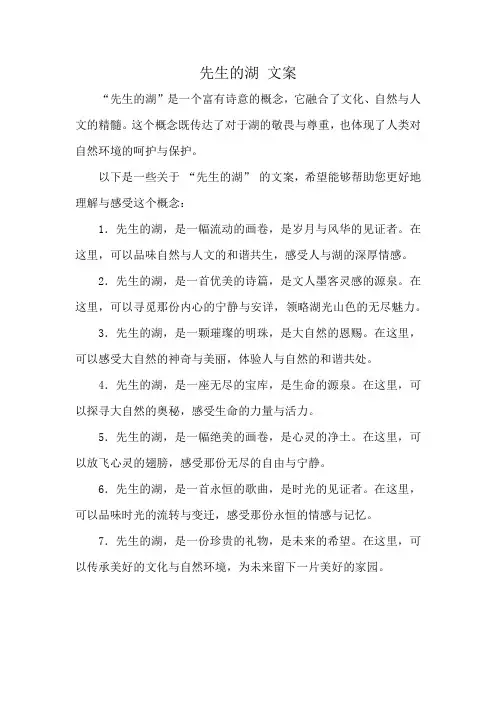 先生的湖 文案