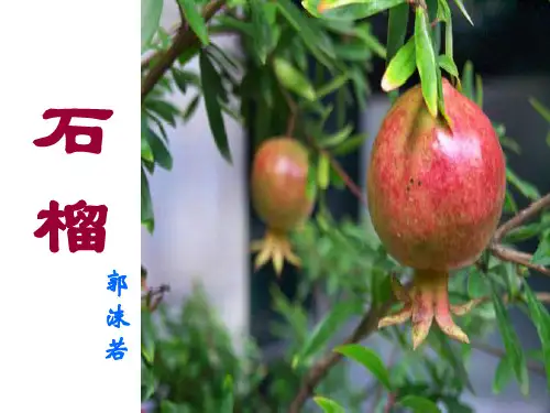 初中语文七年级下册石榴-课件