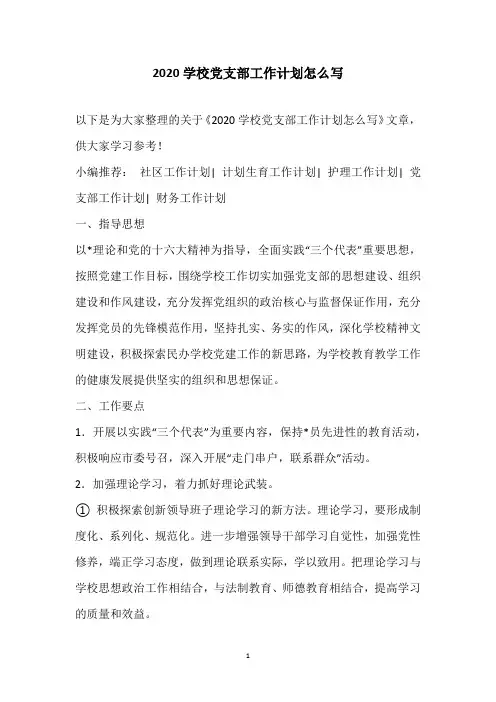2020学校党支部工作计划怎么写