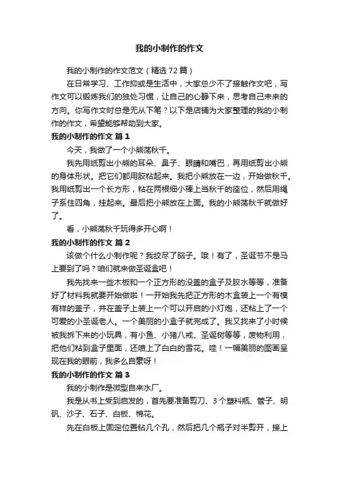 我的小制作的作文