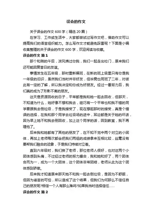 关于误会的作文600字（精选20篇）