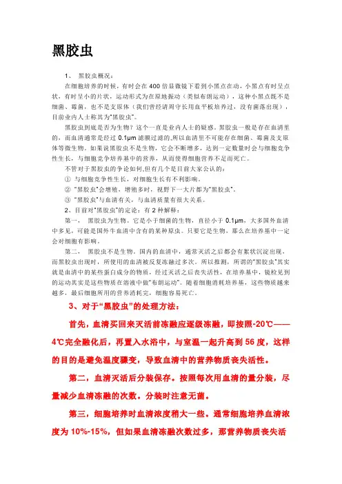 黑胶虫