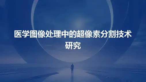 医学图像处理中的超像素分割技术研究