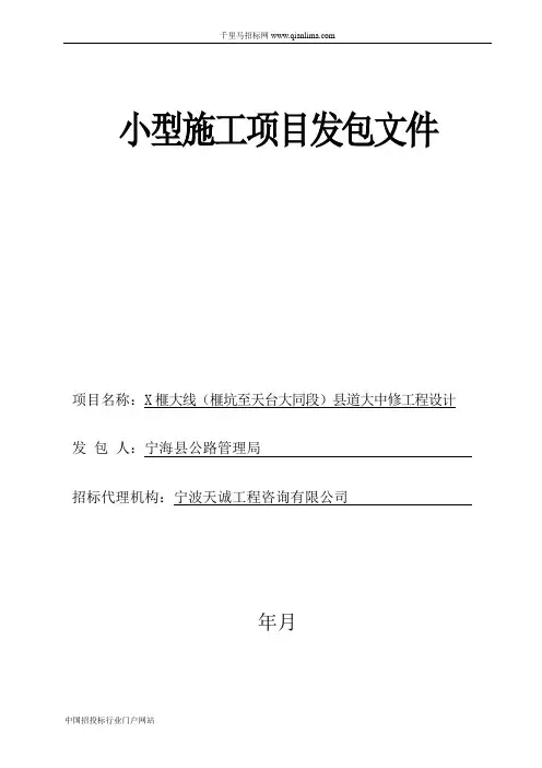 县道大中修工程设计发包招投标书范本