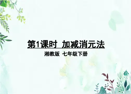 部编湘教版七年级数学下册优质课件 第1课时 加减消元法 (2)