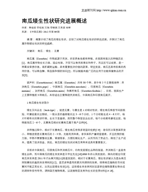 南瓜矮生性状研究进展概述