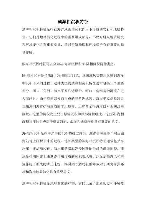 滨海相沉积特征