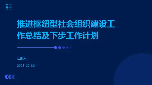 推进枢纽型社会组织建设工作总结及下步工作计划