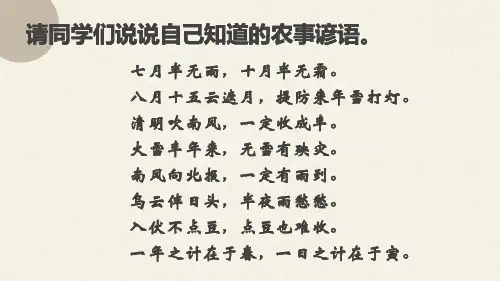 七年级历史上册教学课件《魏晋南北朝的科技与文化》