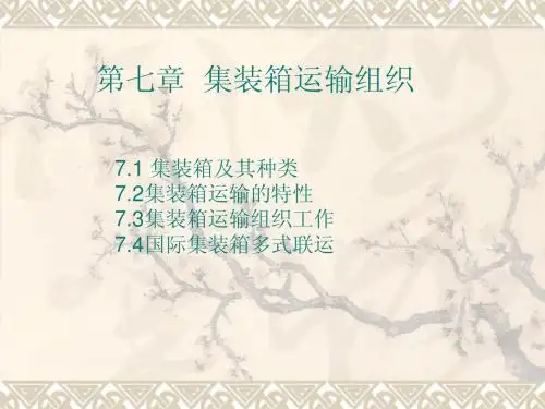 CH7 集装箱运输组织