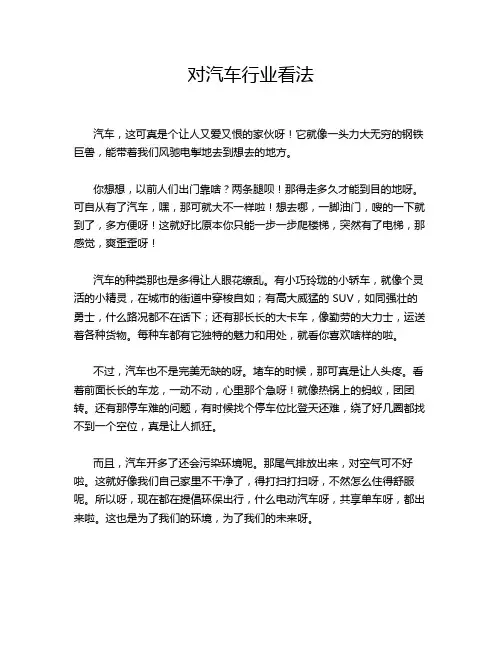 对汽车行业看法