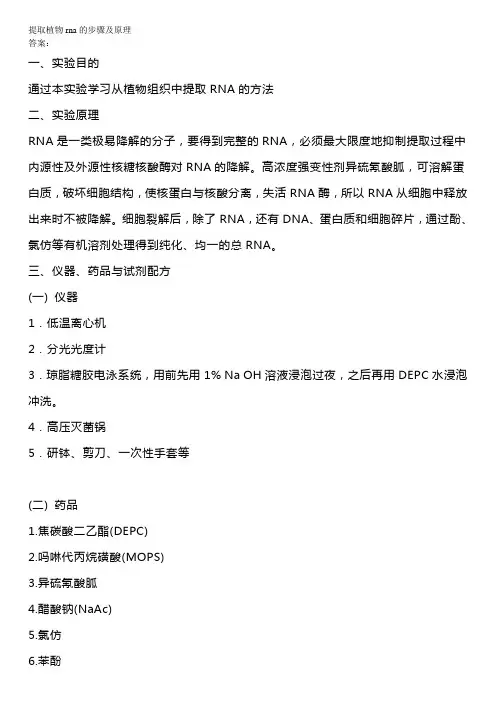 提取植物rna的步骤及原理