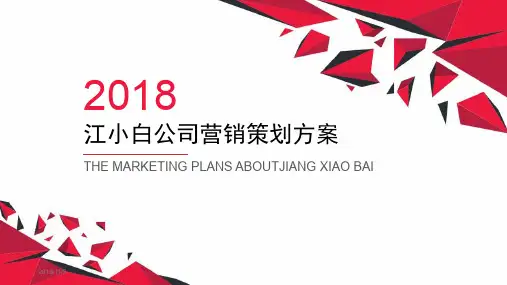 江小白调研报告PPT课件