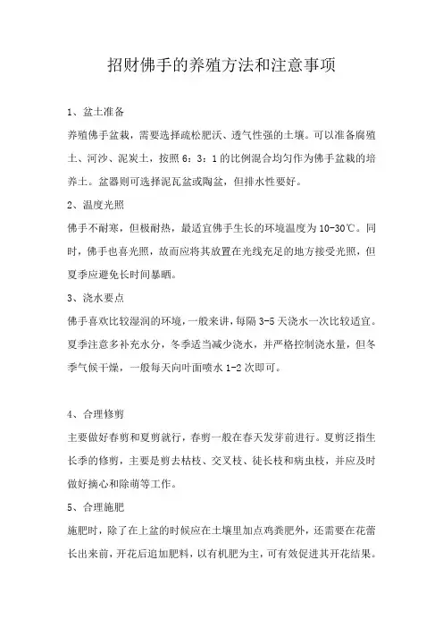 招财佛手的养殖方法和注意事项