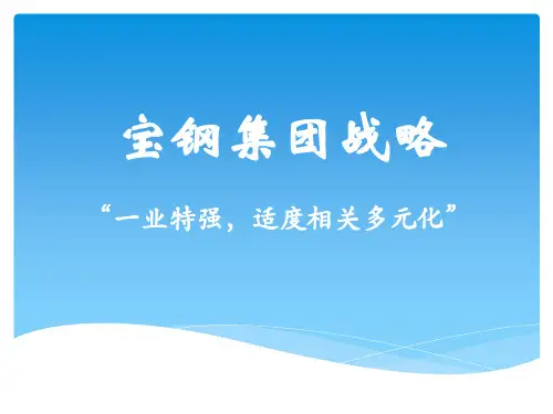 宝钢集团战略