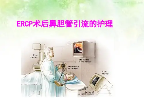 ERCP术后鼻胆管引流的护理ppt课件