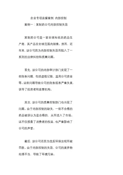 企业专项监督案例 内部控制