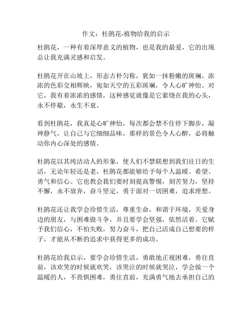 作文：杜鹃花-植物给我的启示